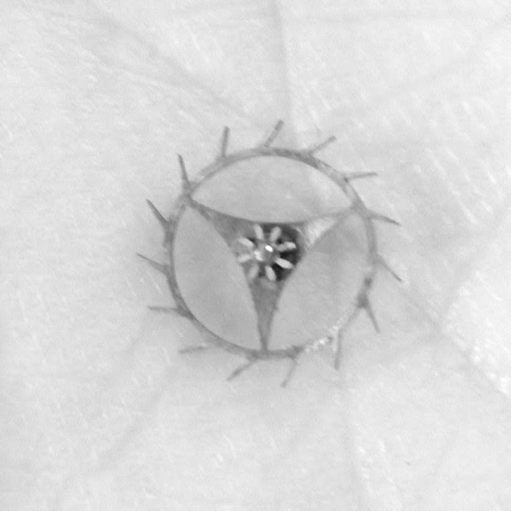 Detail of the escape wheel (showing through the number of teeth and pinions, that it beats at a frequency of 18,000 bph).